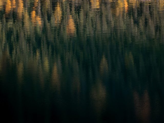 Fall without Falling photogallery ode al riding autunnale - 08