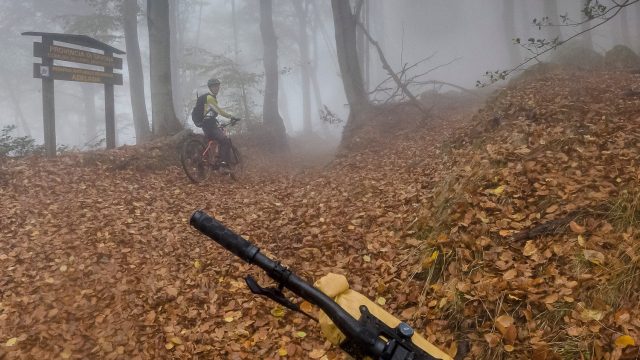 Riserva Naturale Regionale dell'Adelasia