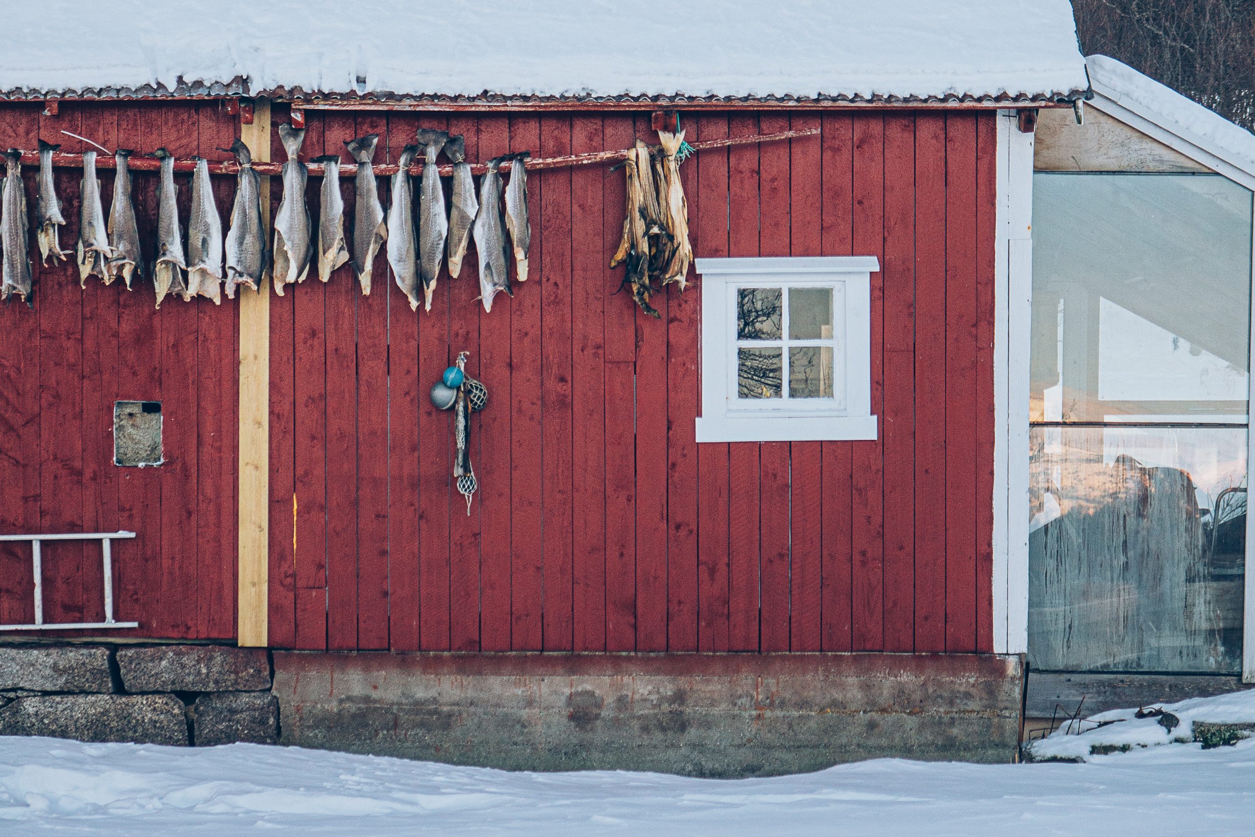 lofoten