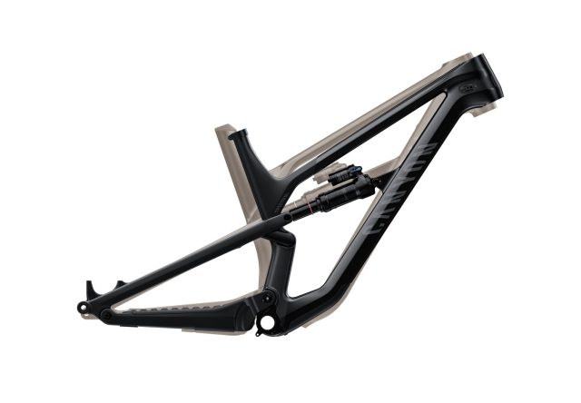Canyon Spectral CF 29 - grafico