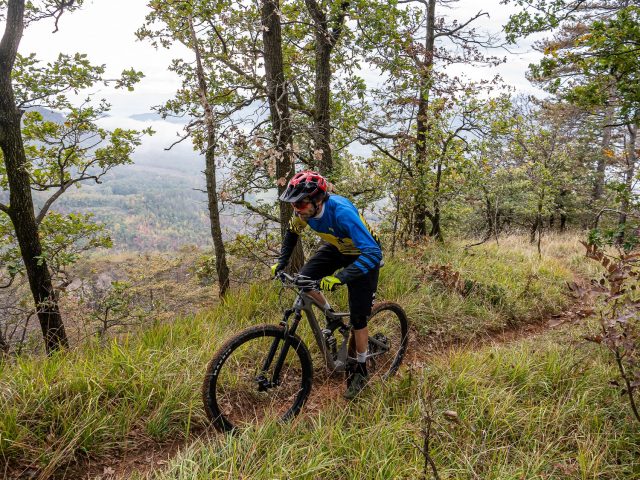 Test Cannondale Scalpel Carbon SE 1 - action 05