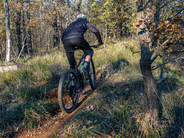 BMC Fourstroke 01 LT One - action 06