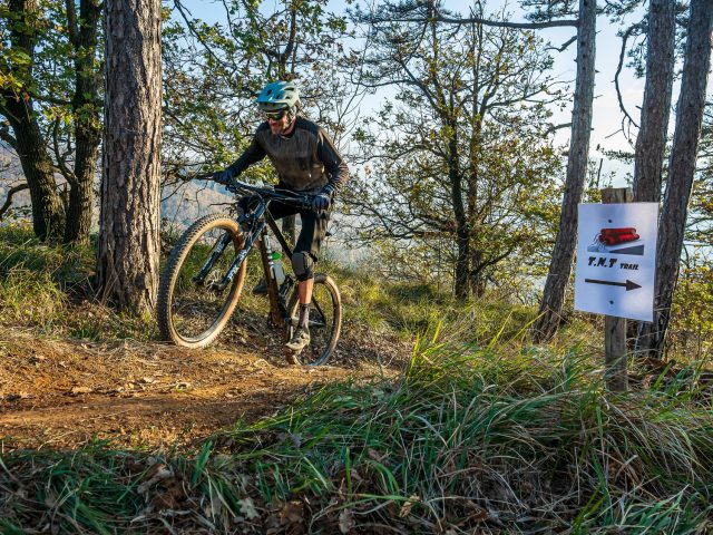 BMC Fourstroke 01 LT One - action 03