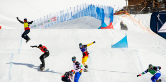 sbx bergamo
