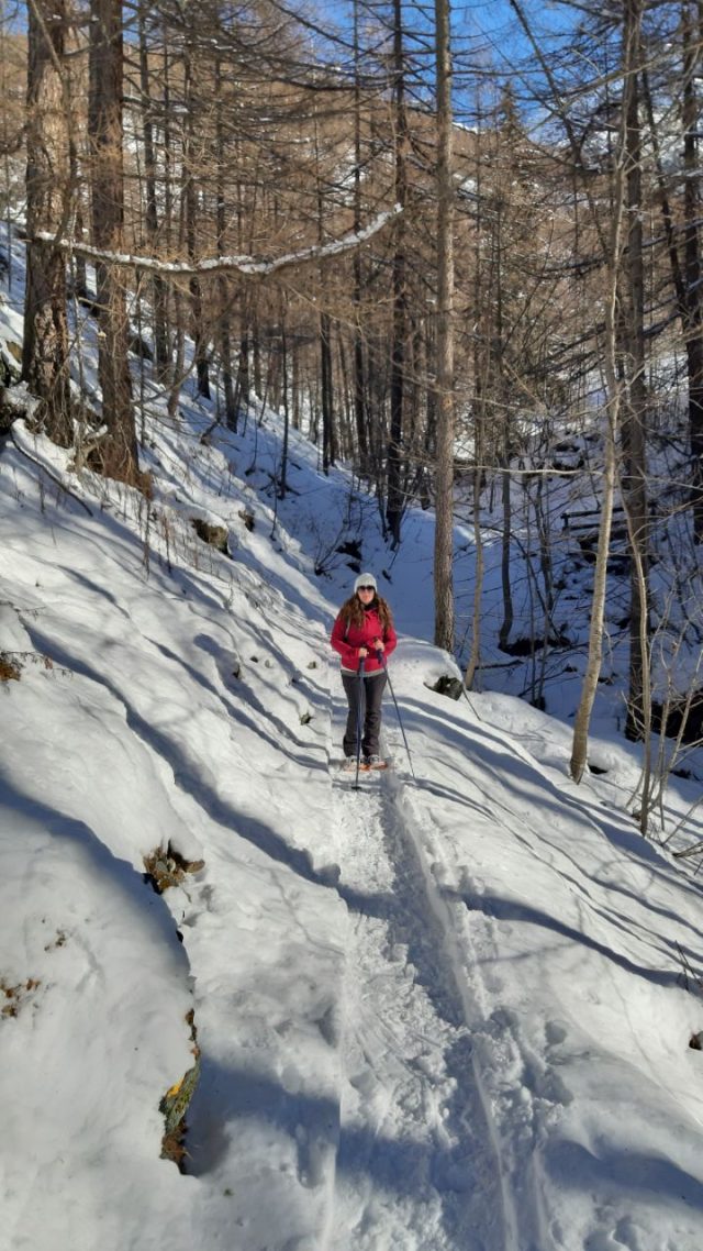 Tra alberi e neve battuta verso il lago di Loz