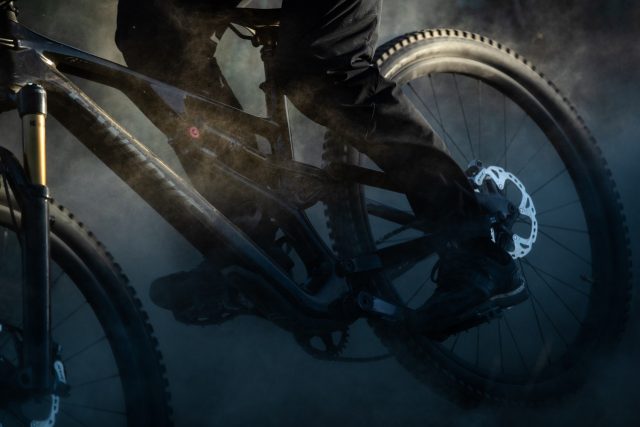 Specialized Stumpjumper Evo - action