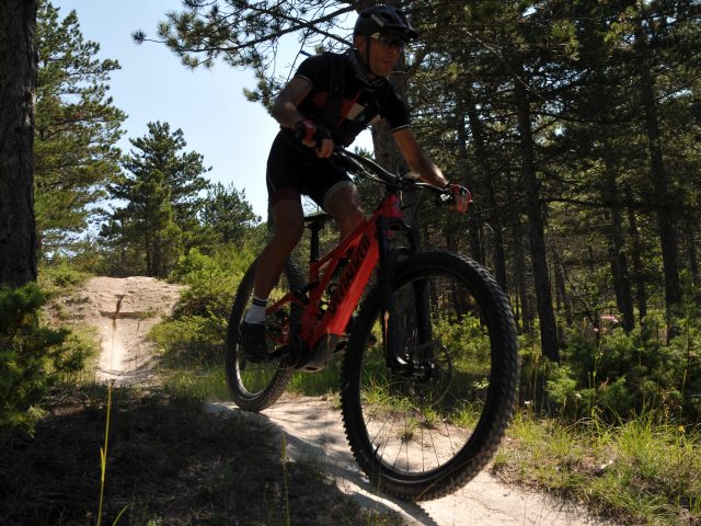 Biciclette muscolari, ma cosa sono realmente