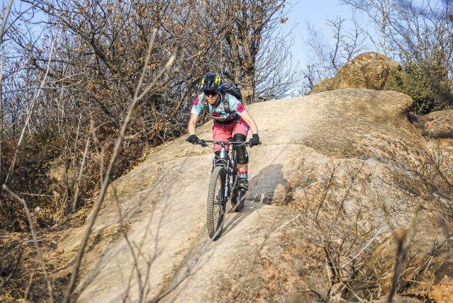 Ibis RIpley AF review - action 05