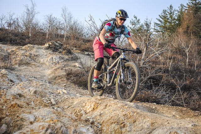 Ibis RIpley AF review - action 03
