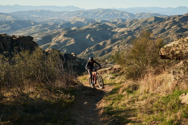 Specialized Turbo levo MY22 - action