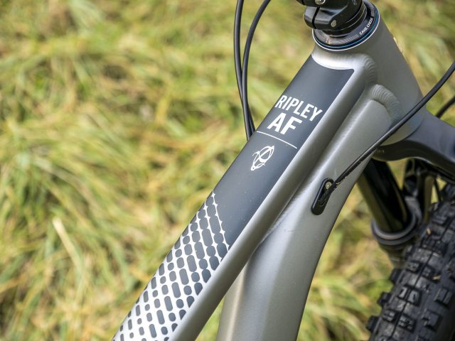 Ibis RIpley AF review - 10