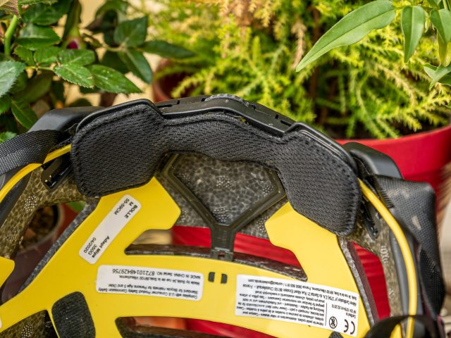 Bollé Adapt MIPS - 07