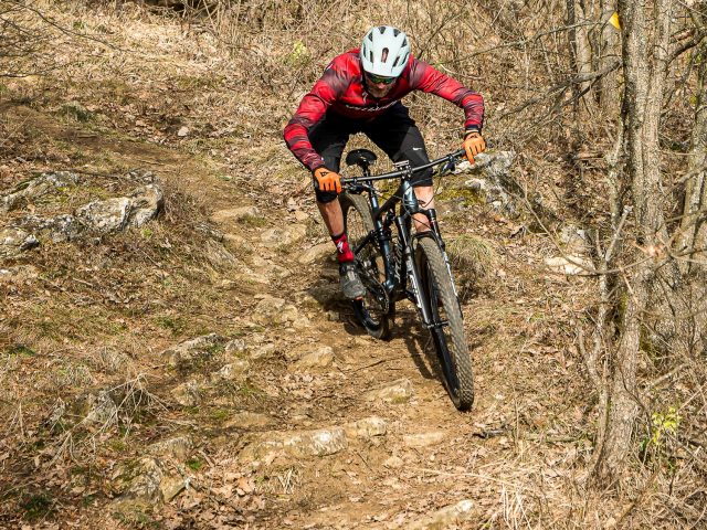 Specialized Epic Evo Expert - action 05