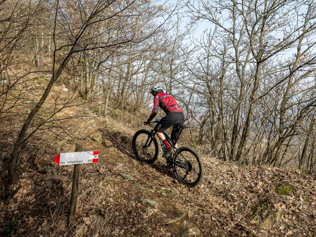 Specialized Epic Evo Expert - action 02