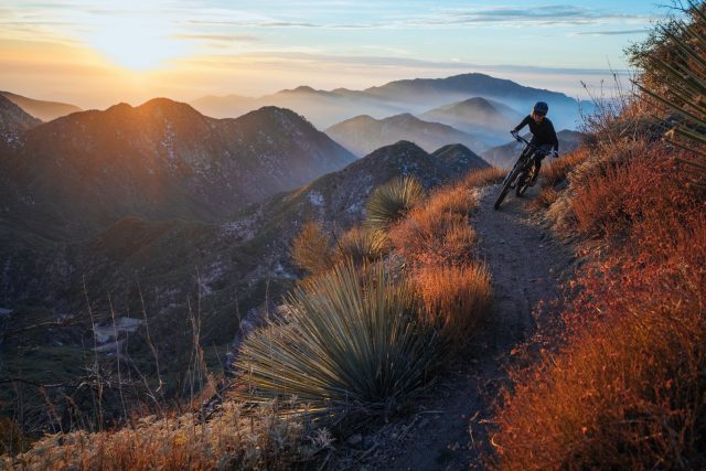 Specialized Rime Flat - action
