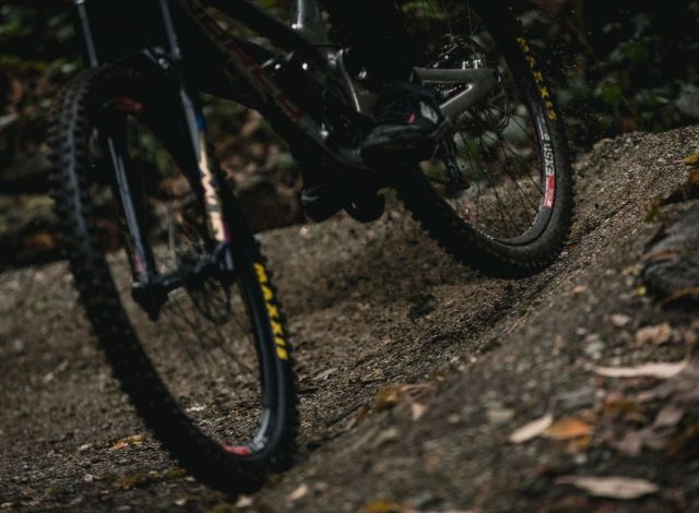 Maxxis Shorty 2 - action