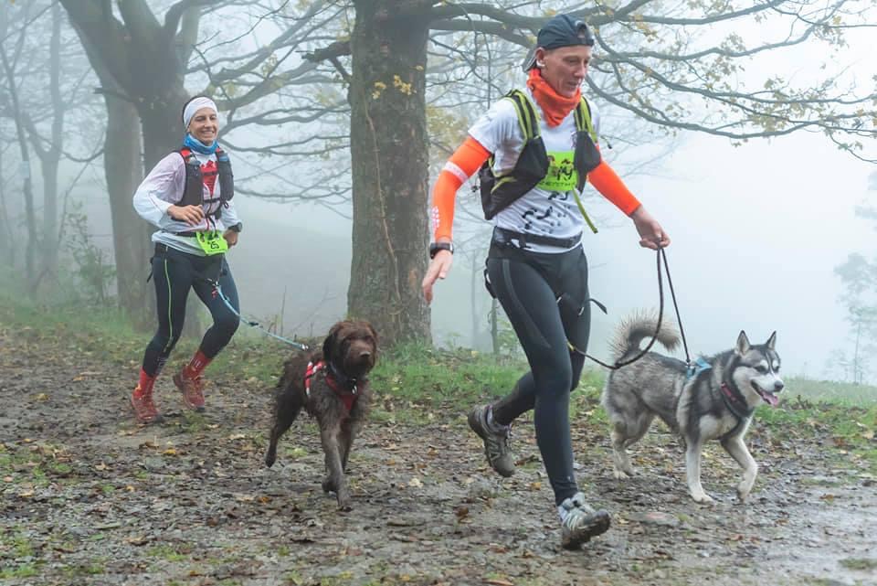 Che Razza E'il Cane Della Pubblicita Sky