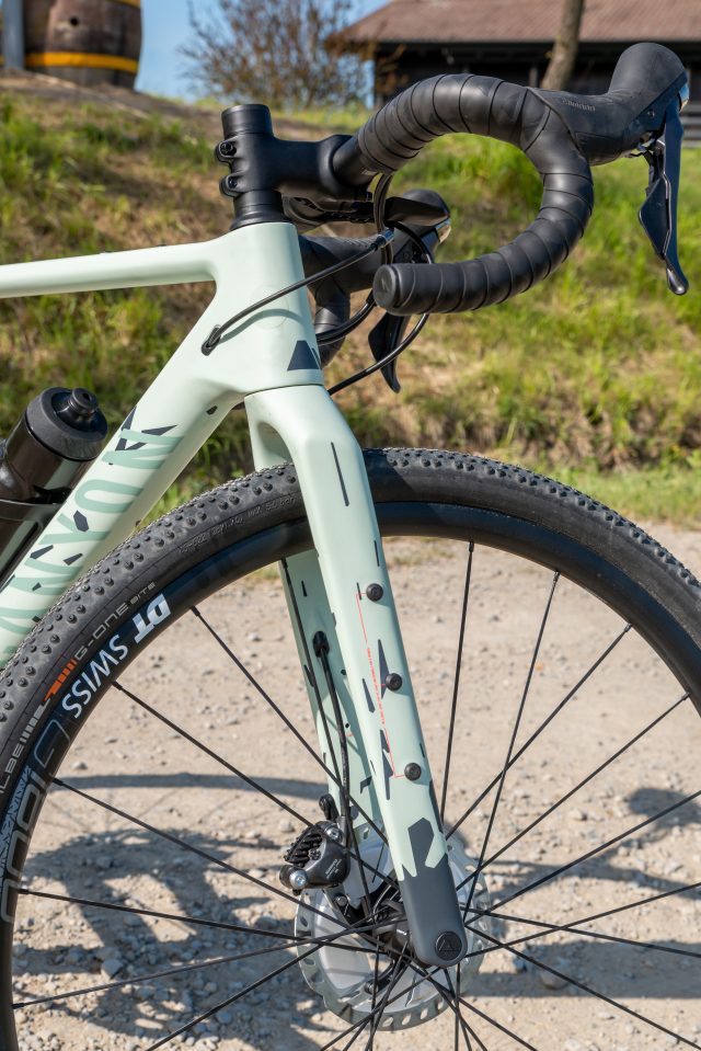 canyon grizl
