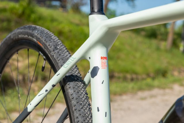 canyon grizl