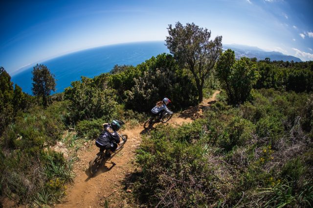 Lapierre Zipp Collective 2021 - action 01