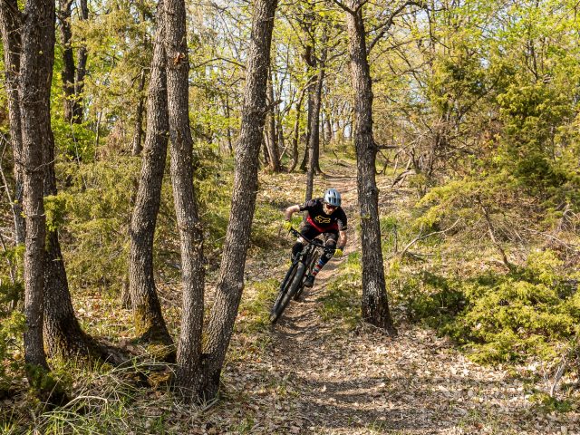 Trek Fuel EX 9.8 GX test - azione 02
