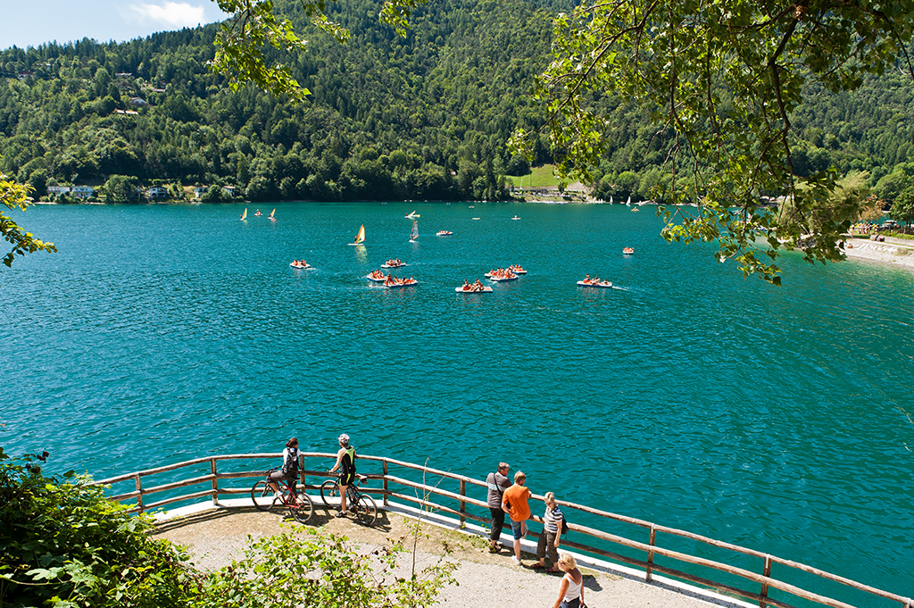 ledo trentino