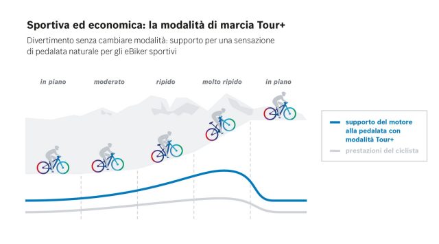 Bosch Tour+ - grafico