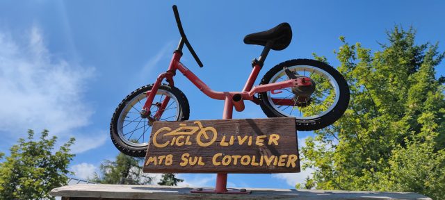 La salita, quando la bici è massimo godimento