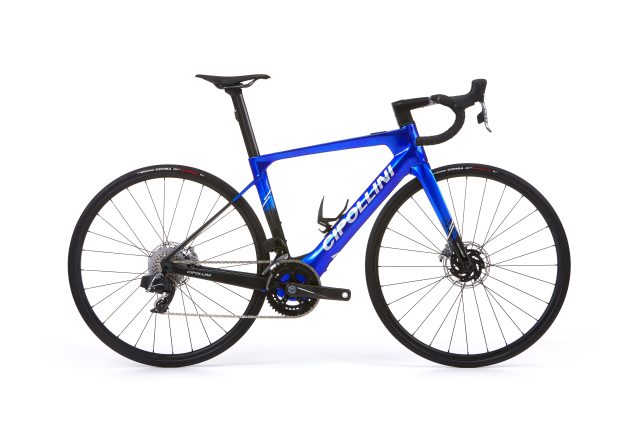 cipollini flusso