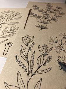 *herbarium