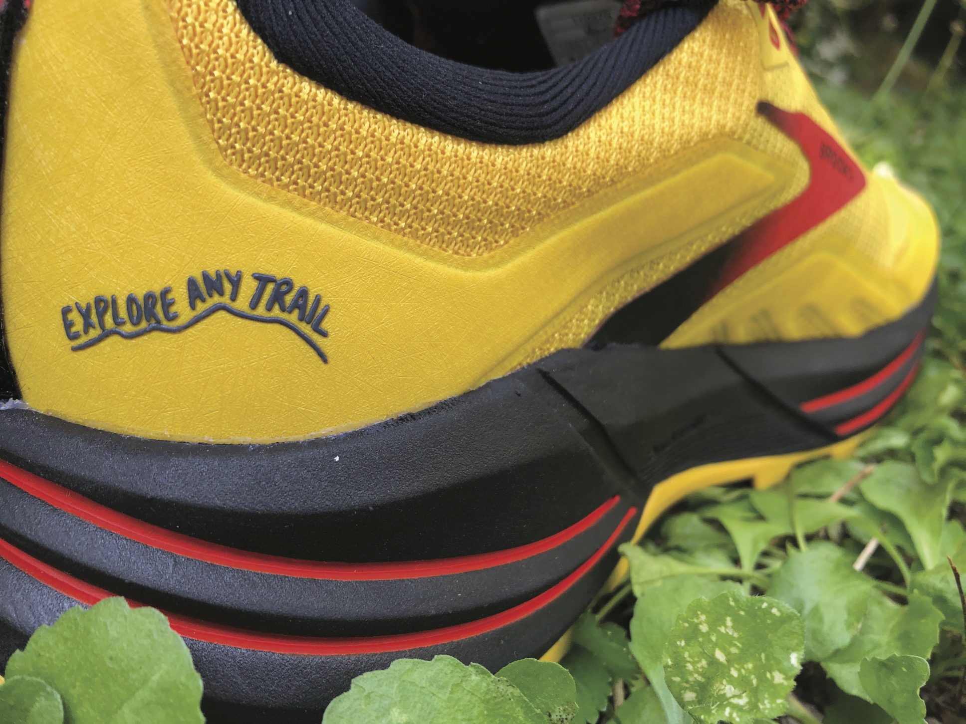 Brooks Cascadia 16