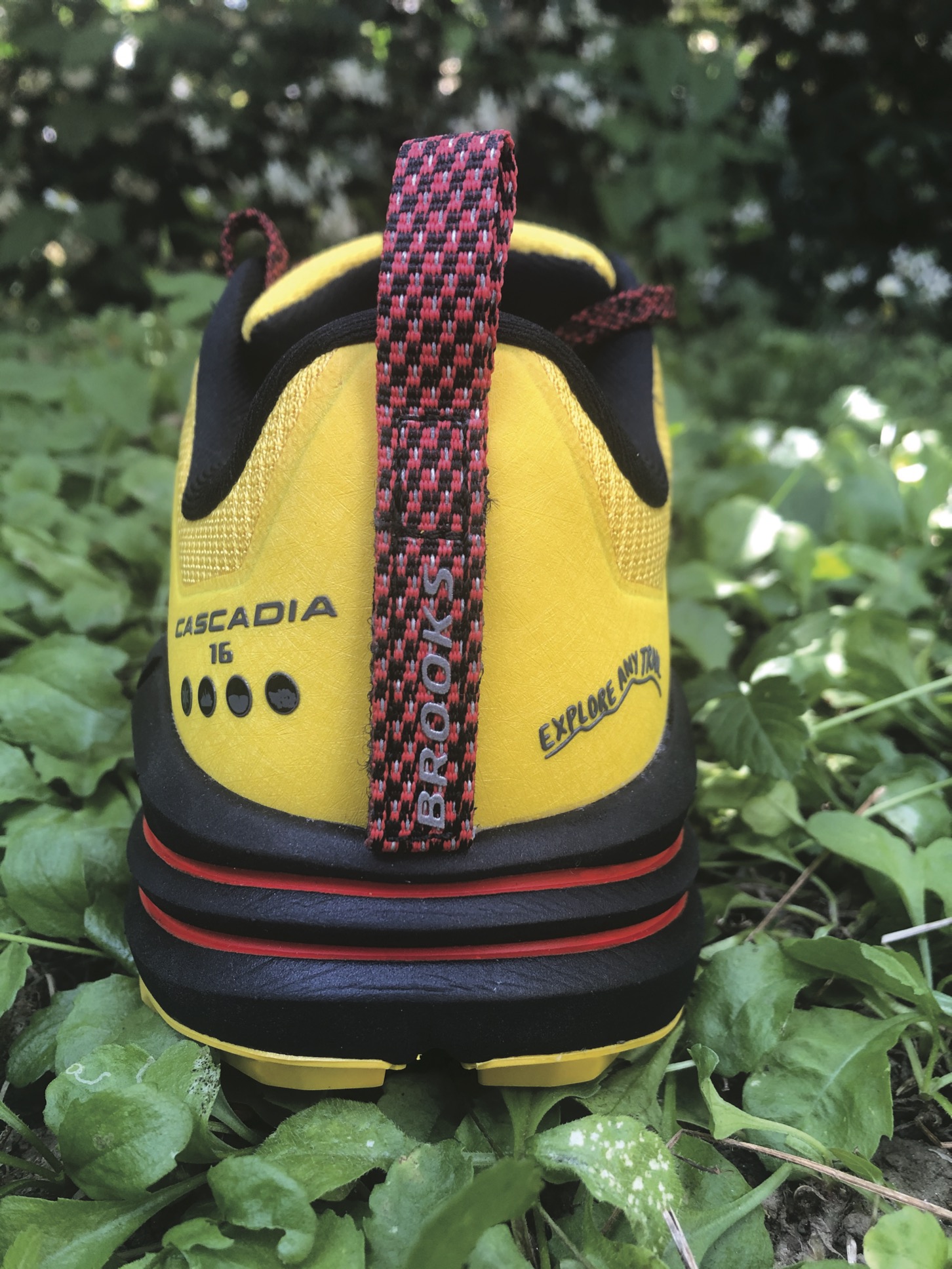 Brooks Cascadia 16