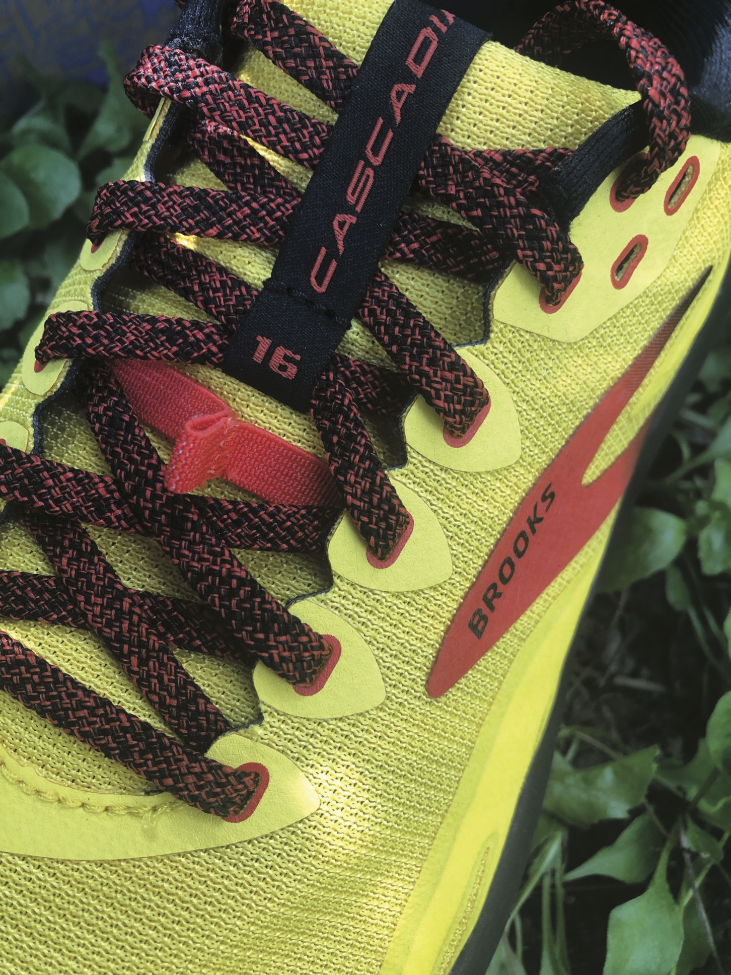 Brooks Cascadia 16