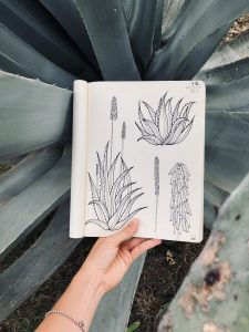 *herbarium