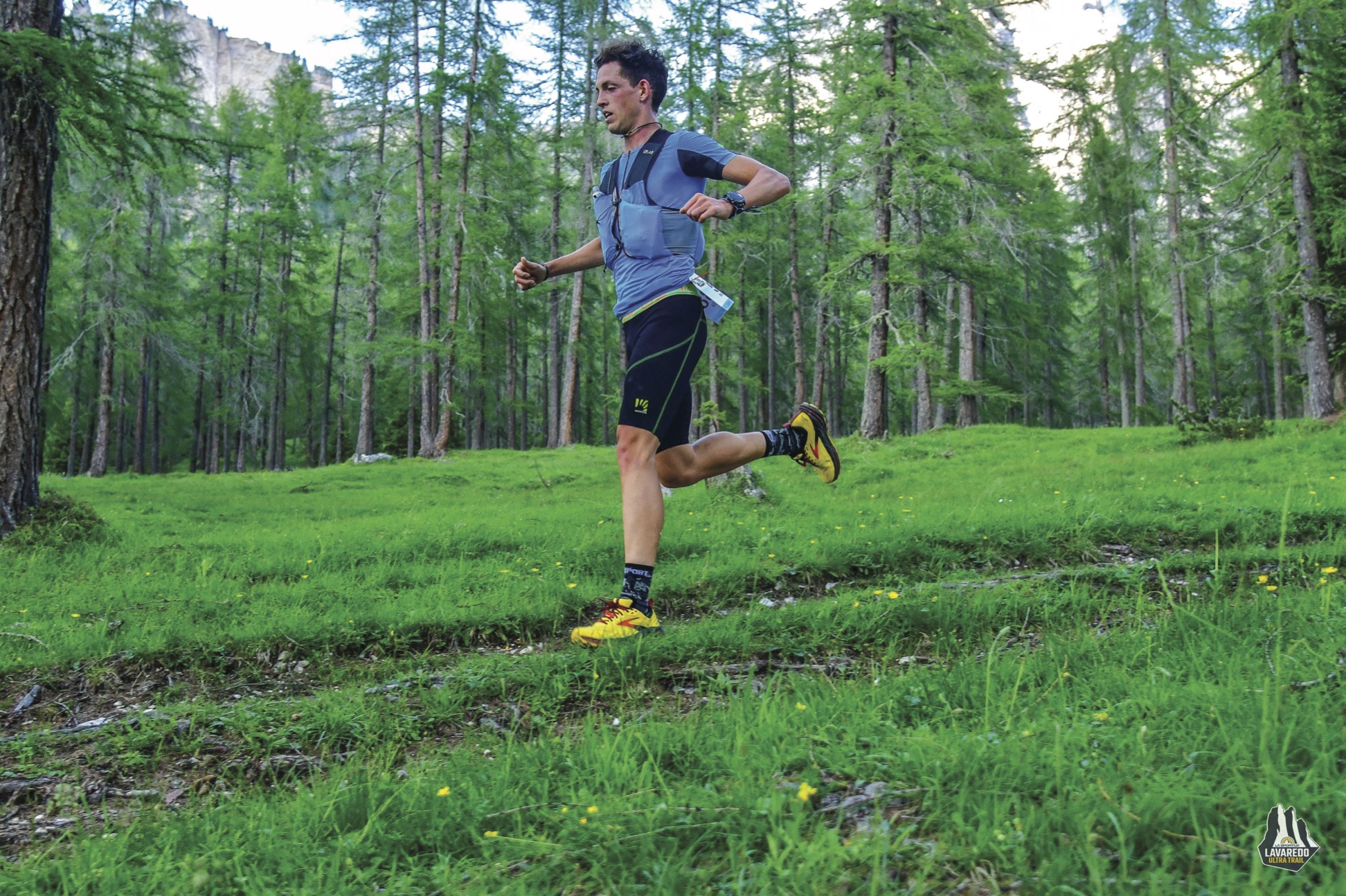 Brooks Cascadia 16