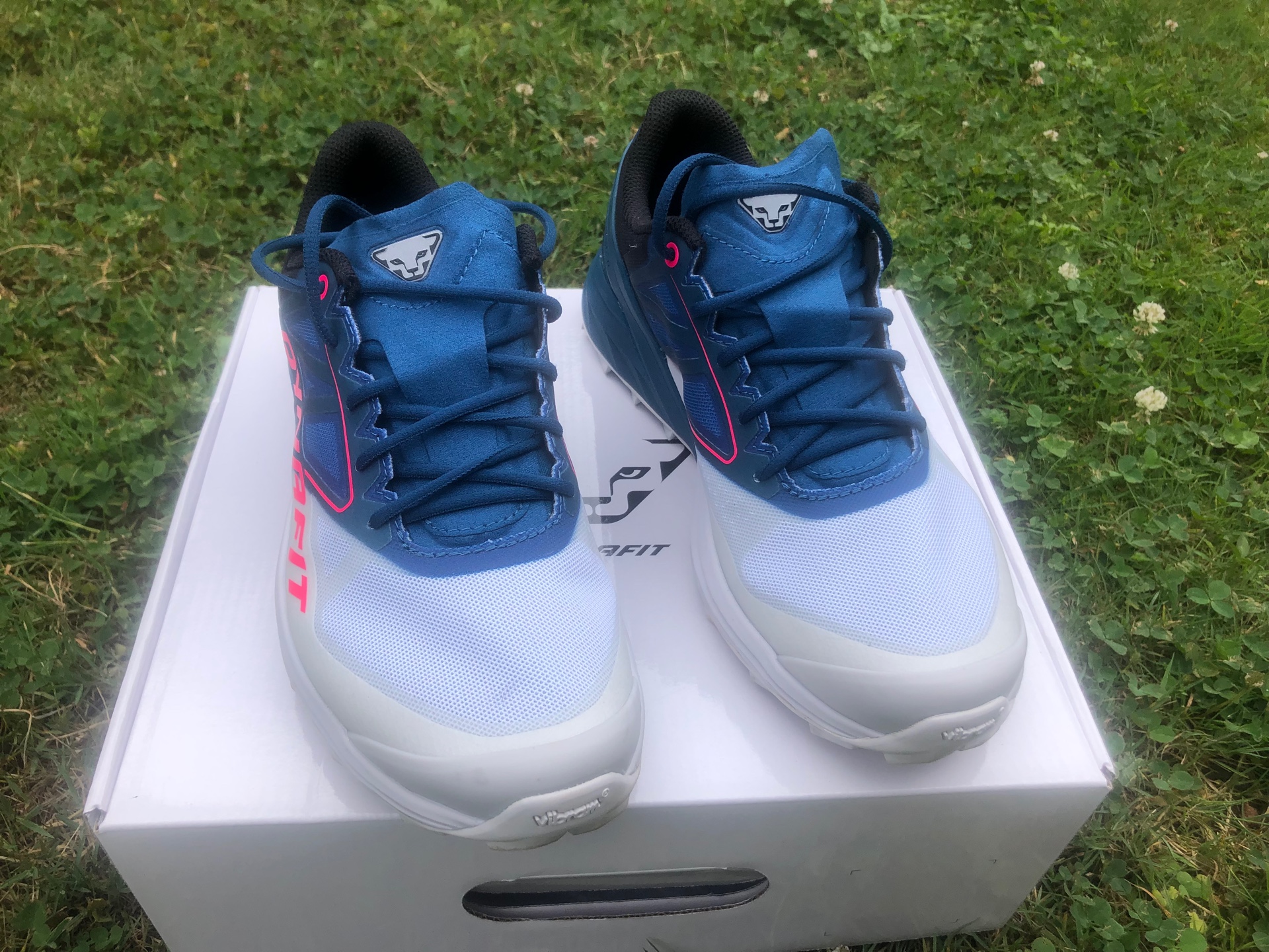 dynafit alpine w