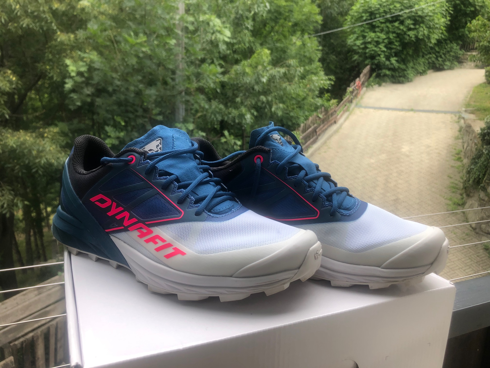 dynafit alpine w