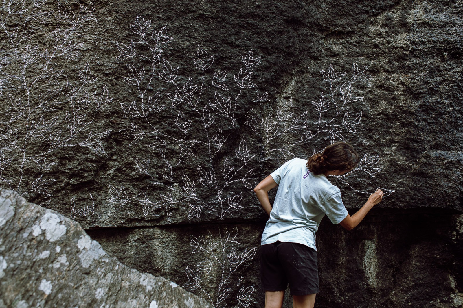 *herbarium