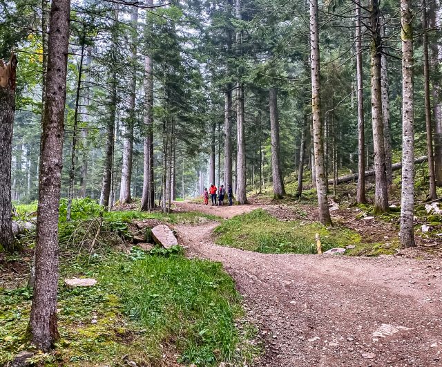 MTB Talks Dolomiti Paganella Bike - curve strette