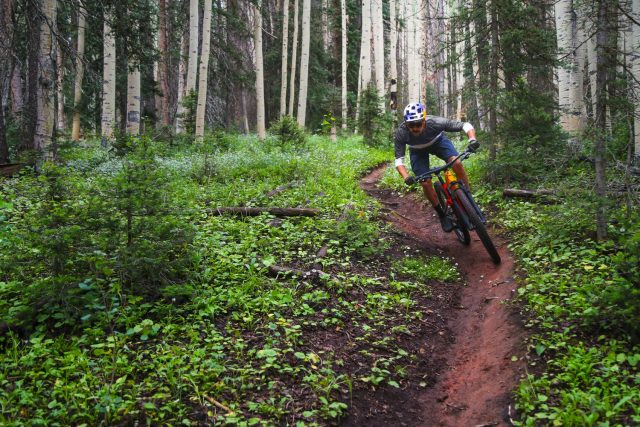 Trek Top Fuel MY22 - action