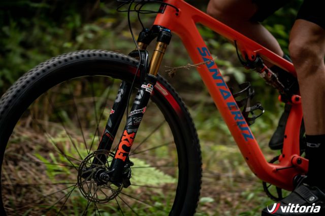 VIttoria Syerra - lifestyle