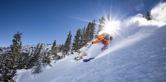 F21_FREERIDE the north face