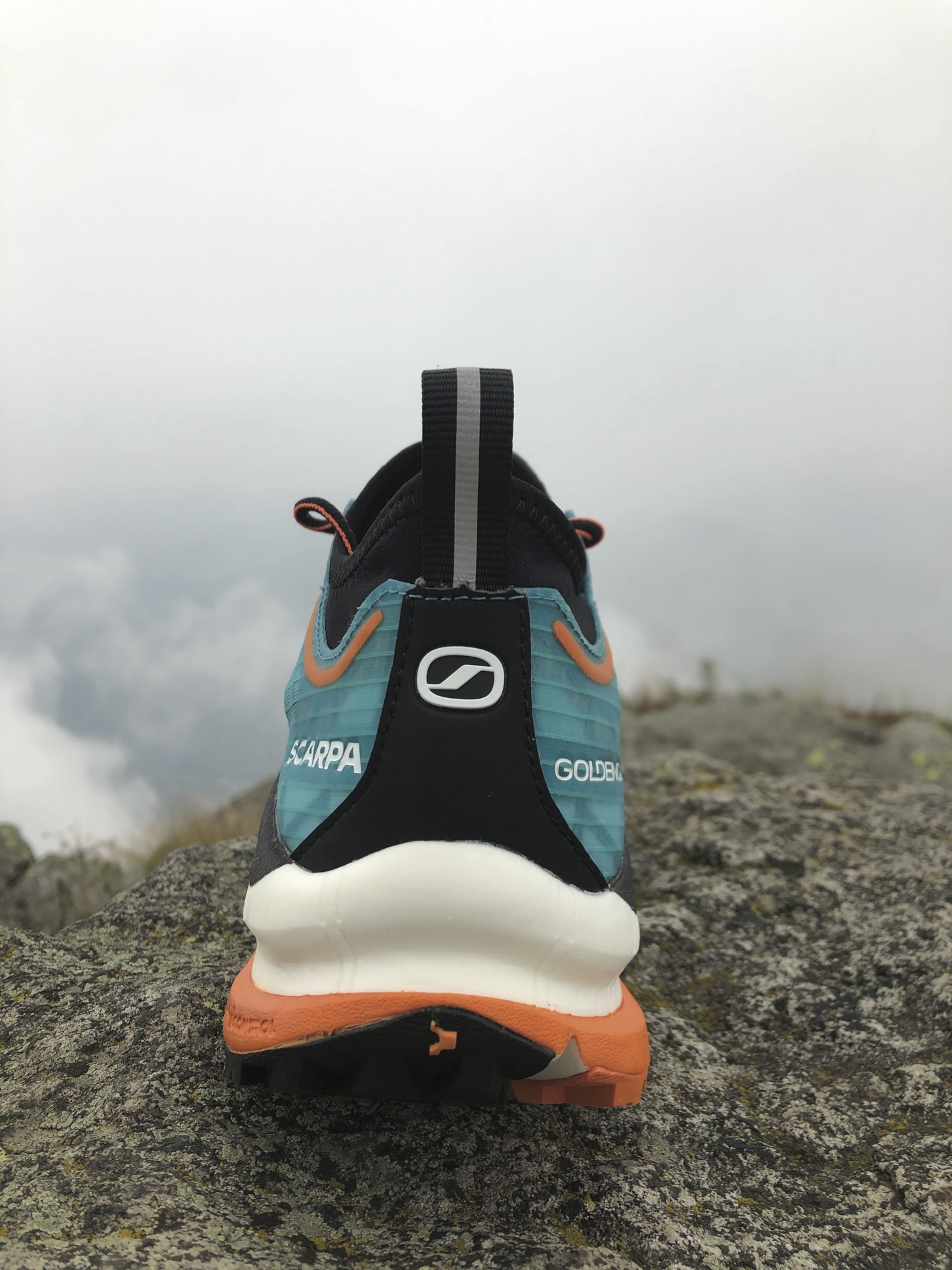 scarpa