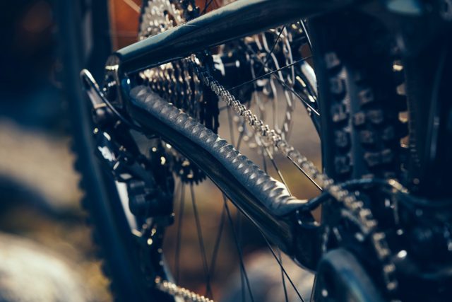 Trance Advanced Pro 29 - protezione telaio