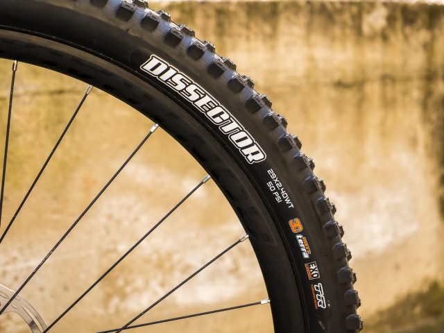 Top 10 MTB 2021 - Maxxis Dissector