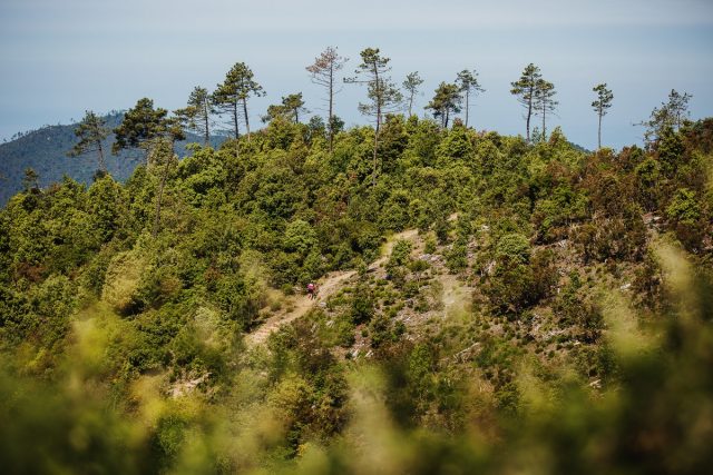 Alta Via Stage Race 2022 preview - 02