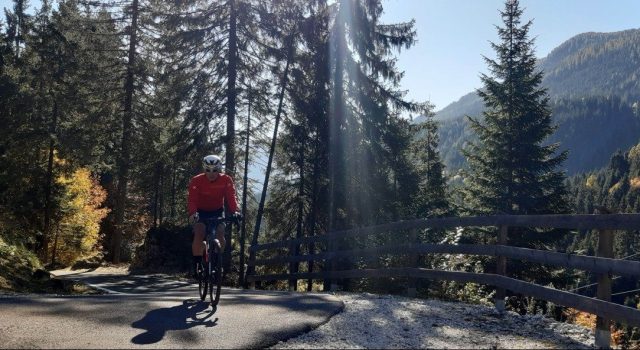 mythos gravel primiero, ciclista in azione su asfalto nel bosco