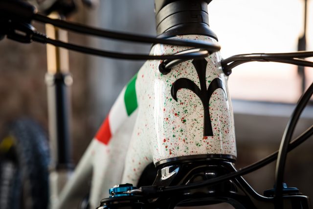 Wilier Triestina-Pirelli Factory Team - Giada Specia bike - particolare 01