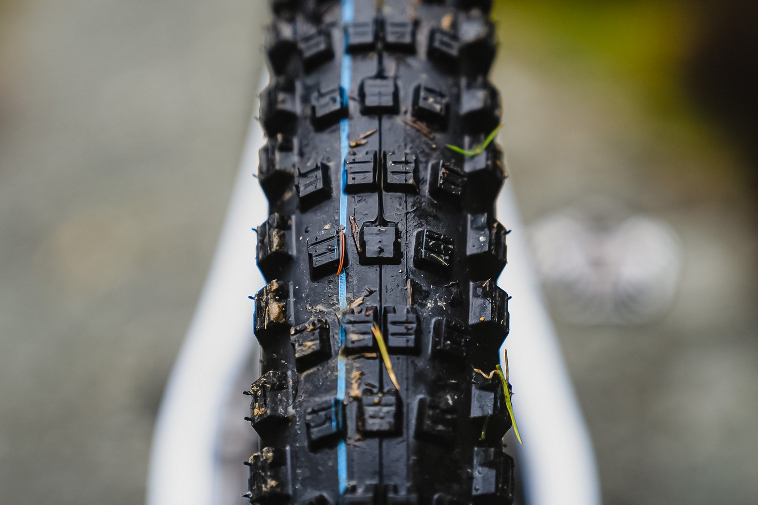 Schwalbe Wicked Will test - cover