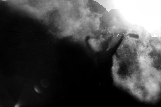 Storie in sella - L'arte perduta della pazienza - backlight B&W